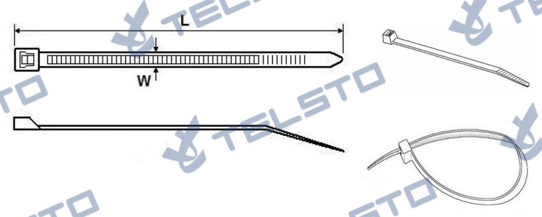 TEL-CT-3 (၁)၊