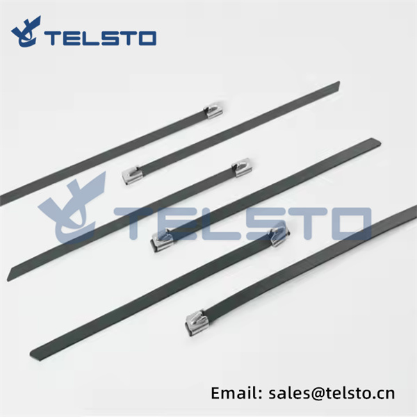 4.6250mm Eco-Friendly Stainless Steel Cable Ties  (1)