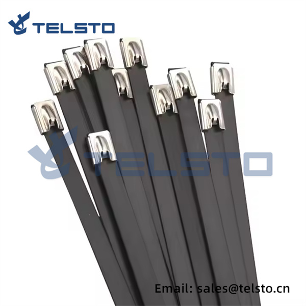 4.6250mm Eco-Friendly Stainless Steel Cable Ties  (2)