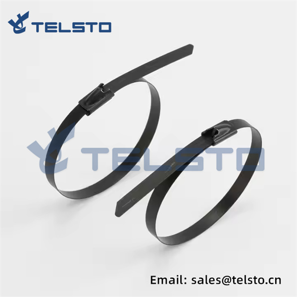 4.6300mm Epoxy Coated SS316 Stainless Steel Cable Ties and Zip Tie  (