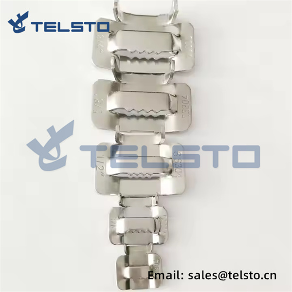 custom stainless steelbanding buckle -201 304 316 (2)
